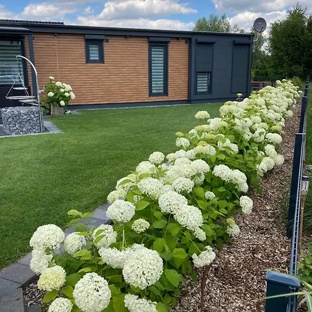 Seepark Cox ️️️️ Goch