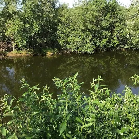Nyaraló Seepark Cox ️️️️