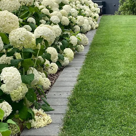 בית נופש Seepark Cox ️️️️ גוך