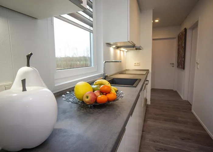 Seepark Cox ️️️️