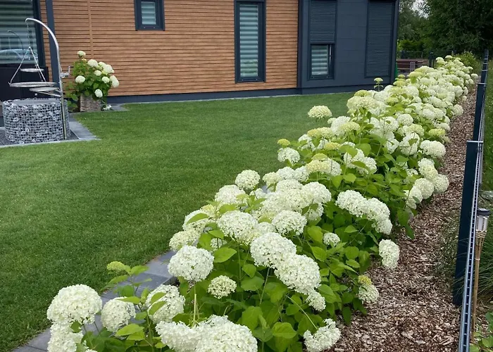 Seepark Cox ️️️️ Goch