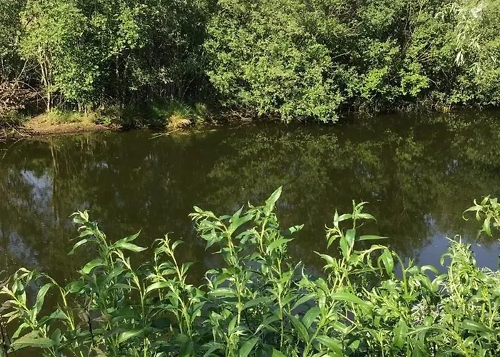 Tatil Evi Seepark Cox ️️️️